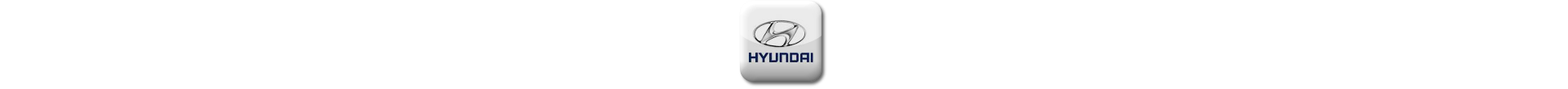 Boitier additionnel Hyundai Diesel Evolussem