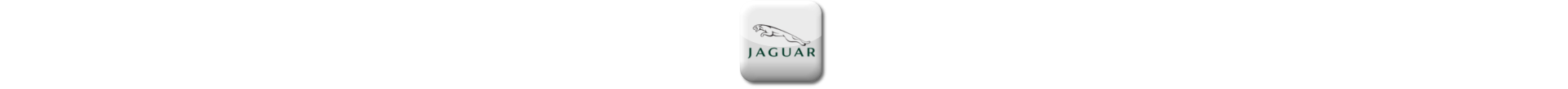 Boitier additionnel Jaguar Diesel Evolussem