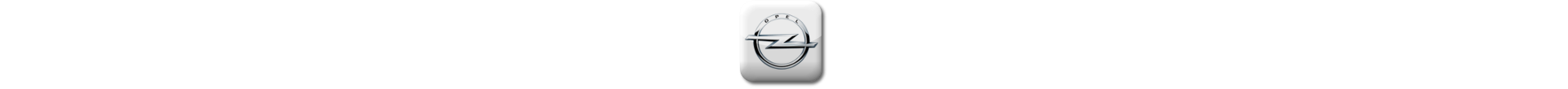 Boitier additionnel Opel Diesel Evolussem