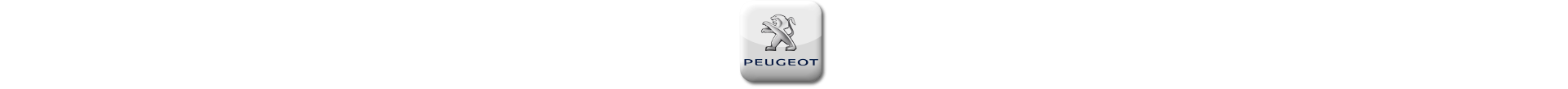 Boitier additionnel Peugeot Diesel Evolussem