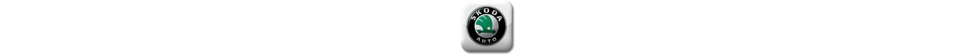 Boitier additionnel Skoda Diesel Evolussem