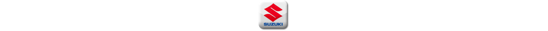 Boitier additionnel Suzuki Diesel Evolussem