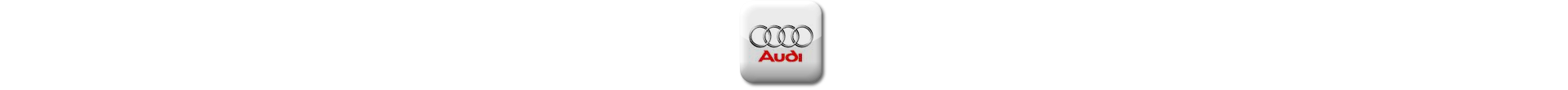 Boitier additionnel Audi Essence Evolussem