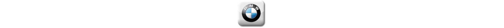 Boitier additionnel BMW Diesel Evolussem