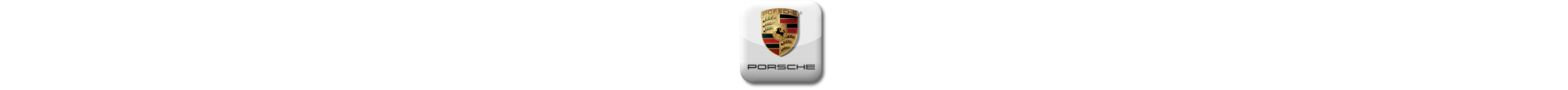 Boitier additionnel Porsche Essence Evolussem