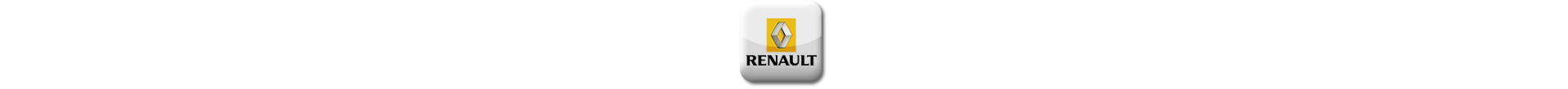 Boitier additionnel Renault Essence Evolussem
