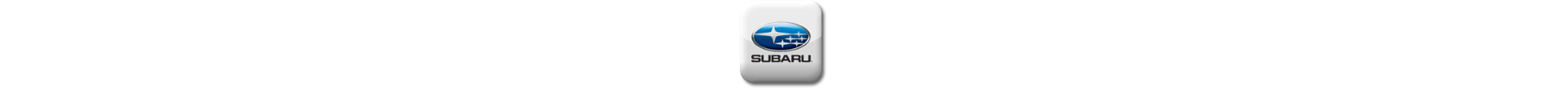 Boitier additionnel Subaru Essence Evolussem